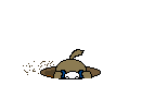 puppygraphic.gif