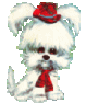 scottish-terrier.gif